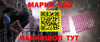 индика Новодвинск