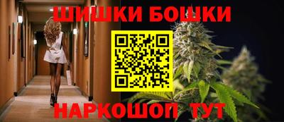 индика Новодвинск