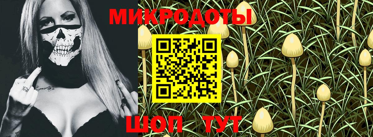 Татарск  Галлюциногенные грибы прущие грибы  Вход с VPN 